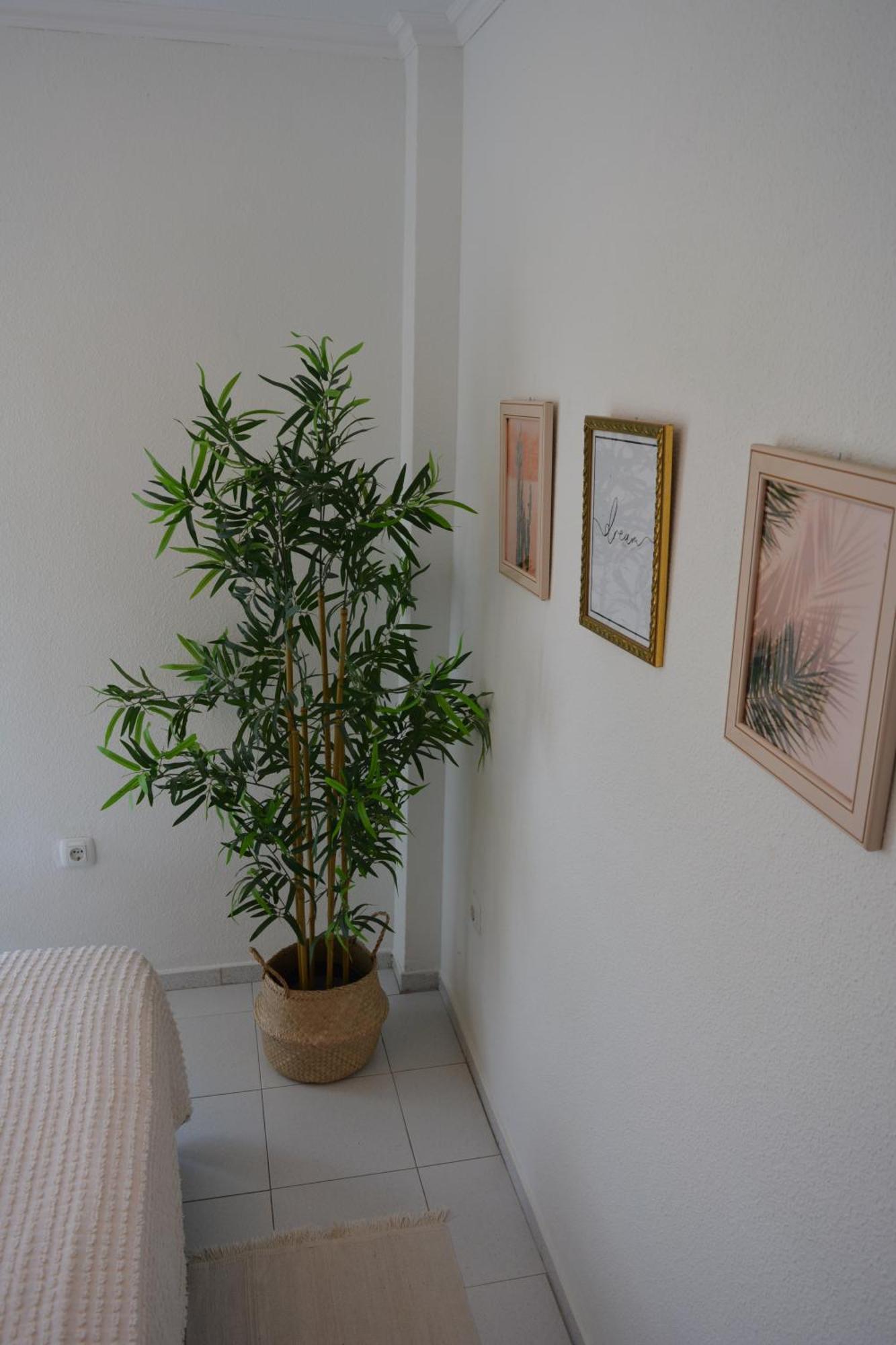 Apartment Vivienda Con Piscina, Solarium, Vistas Teide