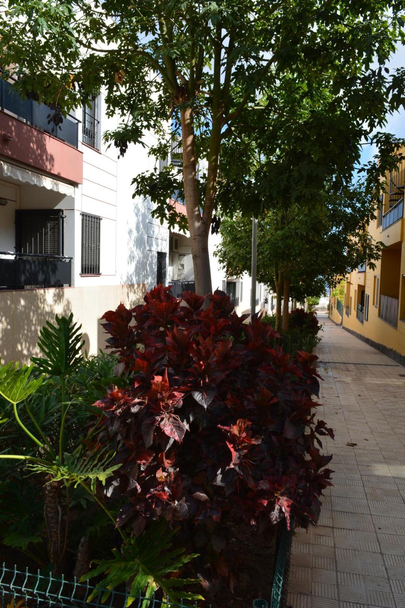 Apartment Vivienda Con Piscina, Solarium, Vistas Teide *