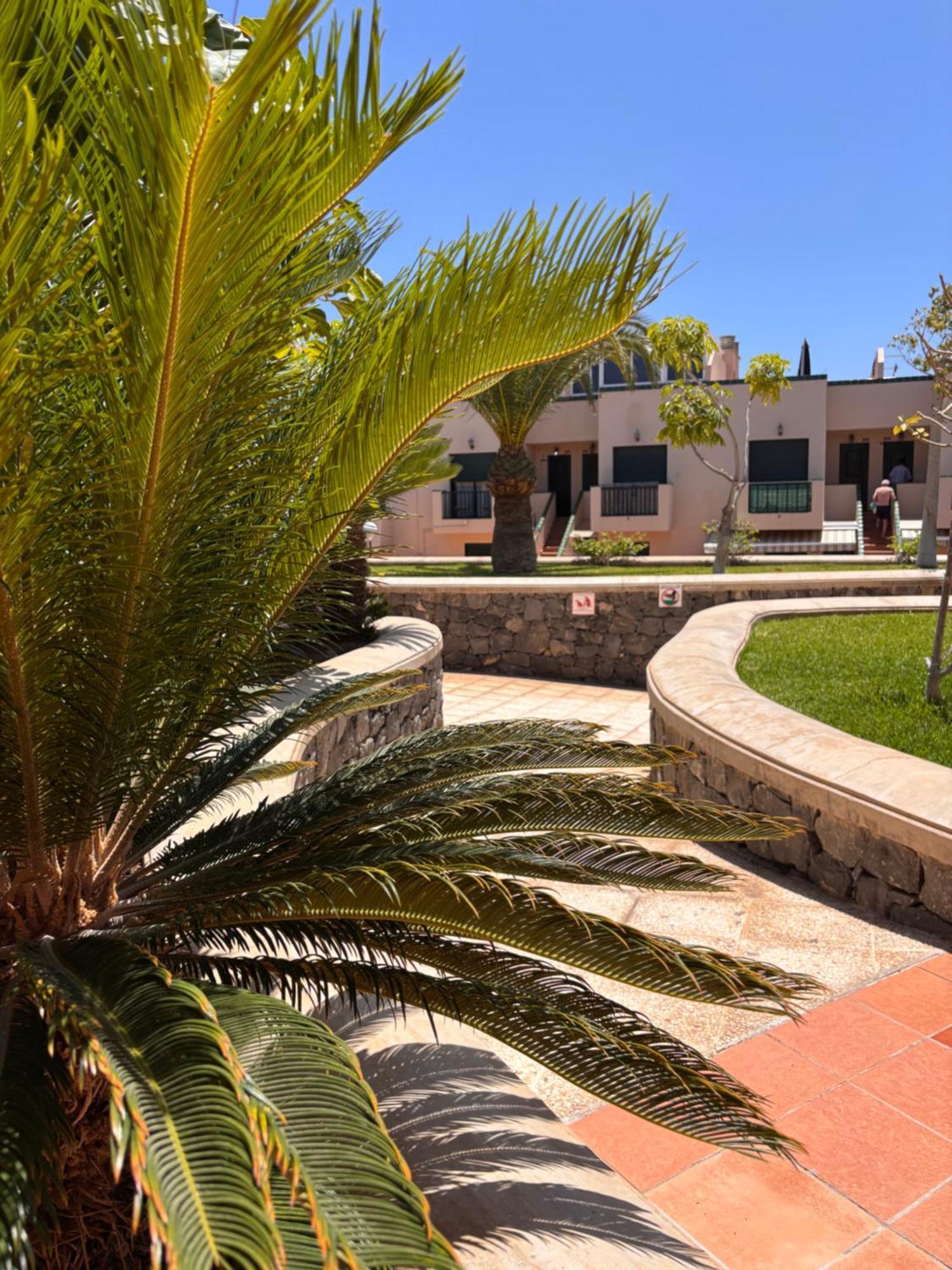 Moderno Apartment Costa Del Silencio