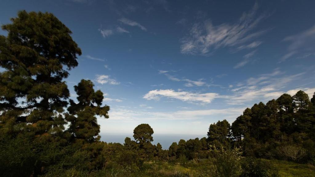 Monte Frio De Tenerife