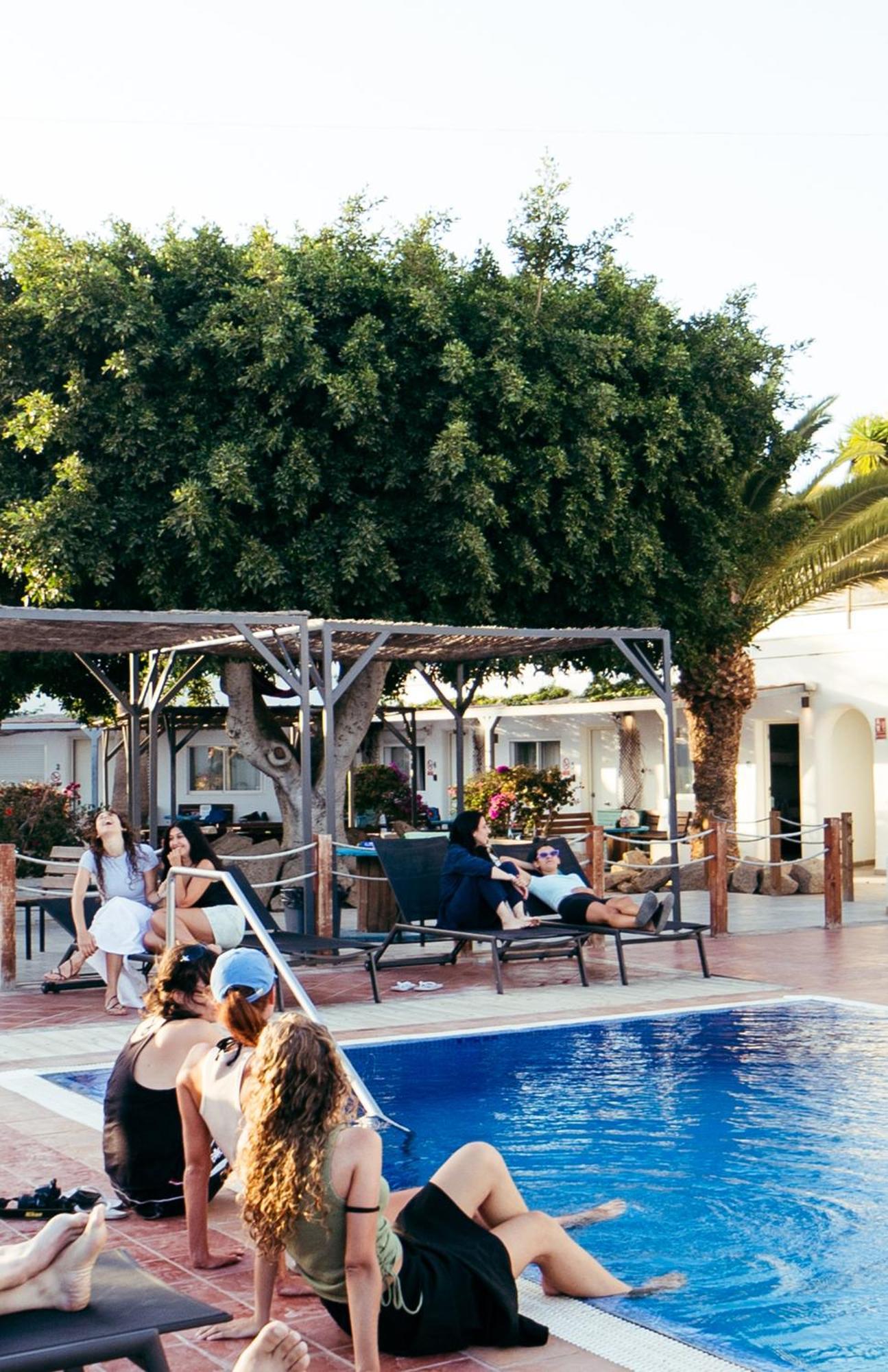 Auberge de jeunesse The Tree House Tenerife