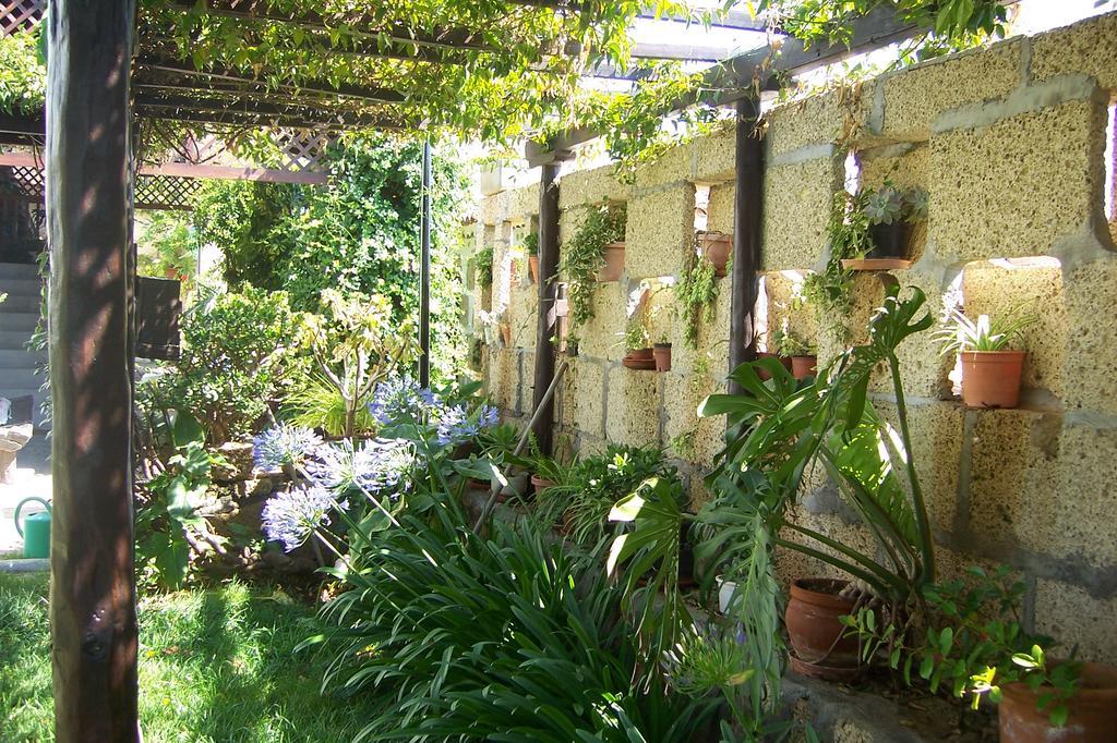 Anton Piche With Pool-adults Only Country house Granadilla De Abona