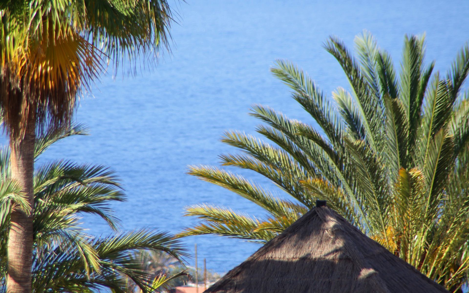 Hotel Bahia Principe Sunlight 4*
