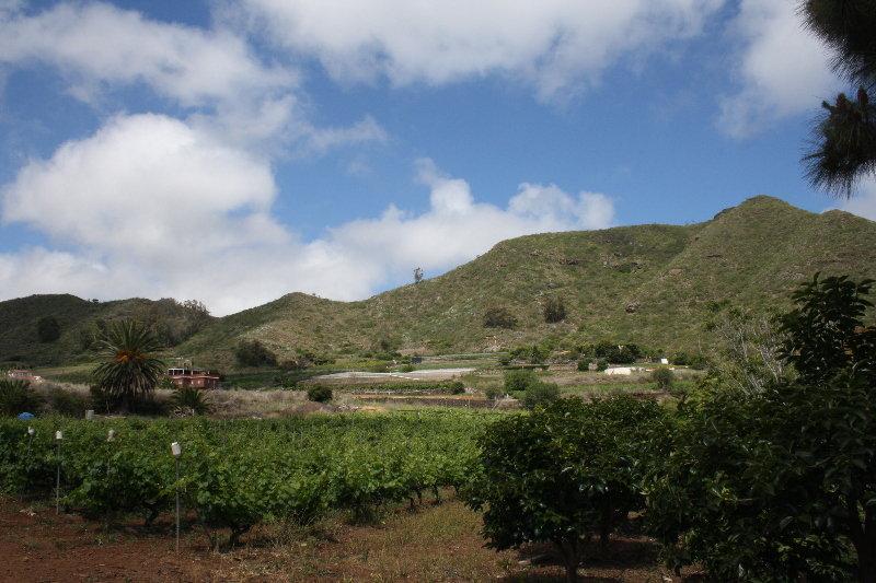 El Vergel Rural Tegueste