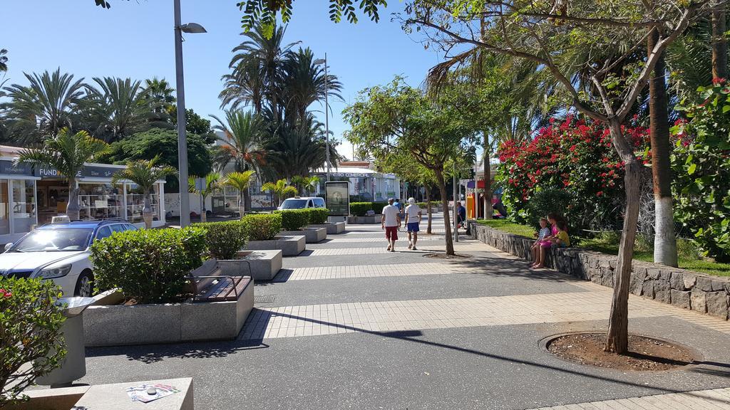 Apartment Bamboli Holidays Playa de las Americas (Tenerife)