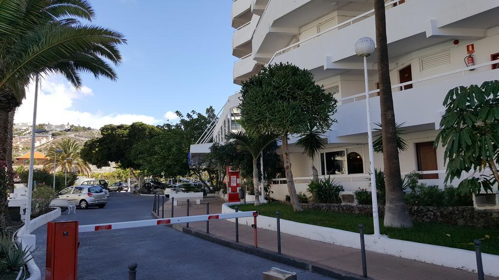 Apartment Bamboli Holidays Playa de las Americas (Tenerife)