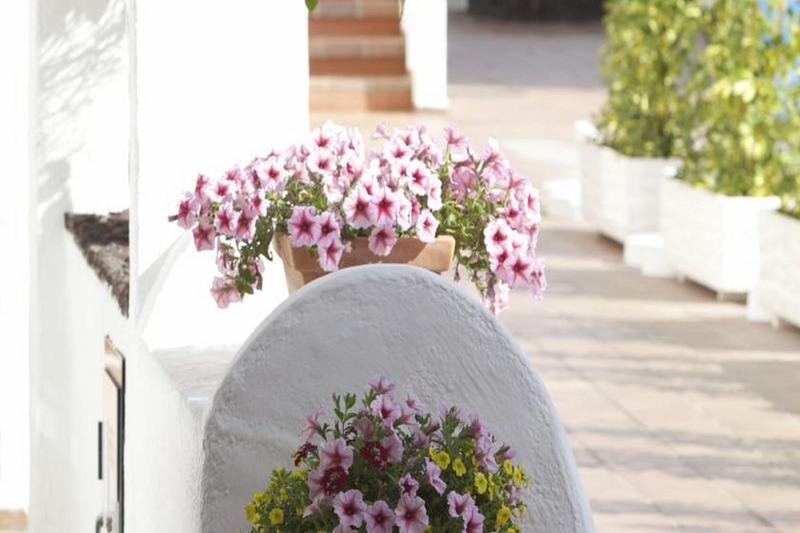 Aparthotel Beverly Hills - Excel &