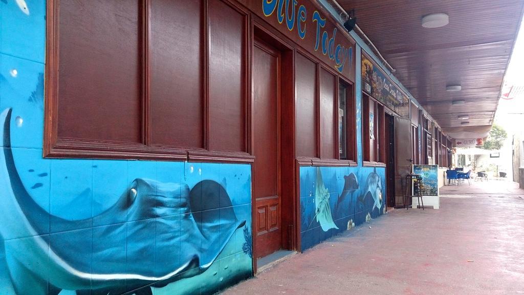Hostel Dive Ocean Dreams