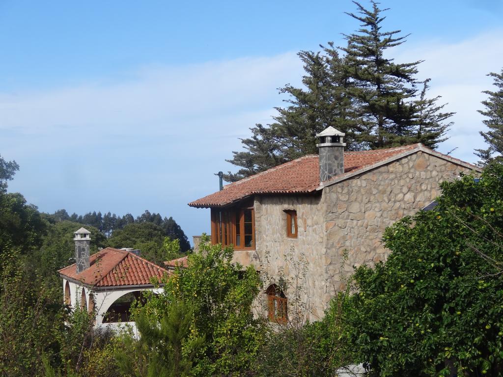 La Gustoza El Sauzal