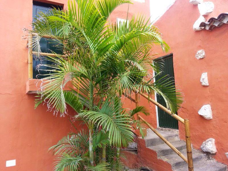 Apartmento Tabares