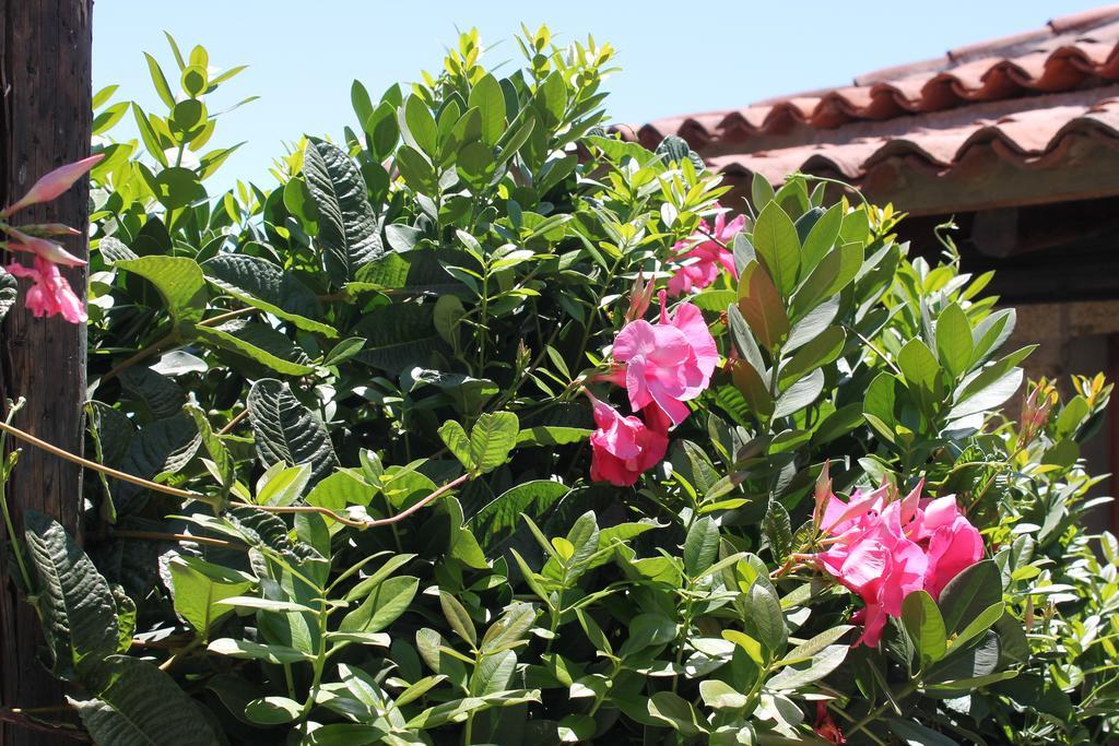 Anton Piche With Pool-adults Only Country house Granadilla De Abona