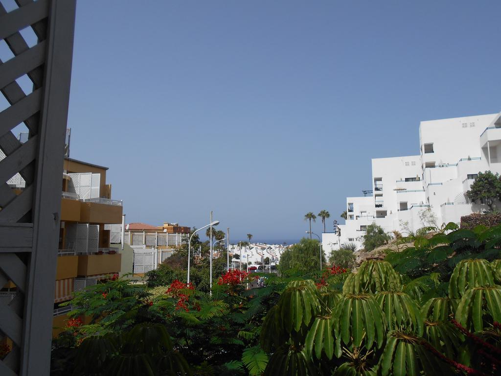 Orlando Costa Adeje (Tenerife)