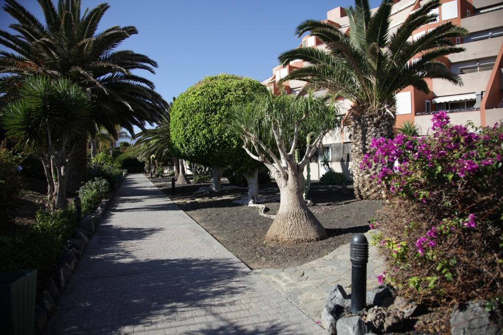 Appartement El Cano Radazul