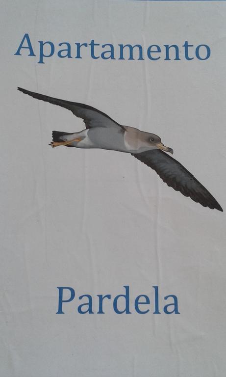 Pardela
