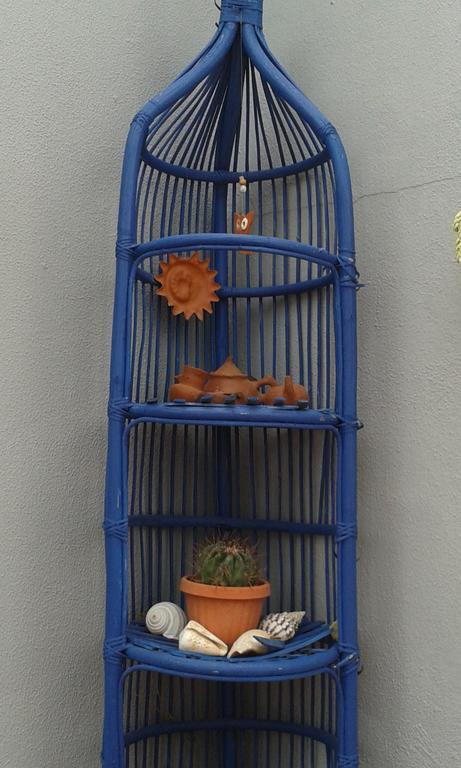 Pardela * Costa Adeje (Tenerife)