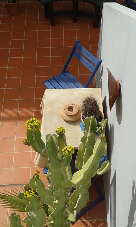 Pardela Apartment Costa Adeje (Tenerife)