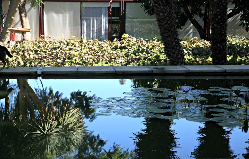 Emblemático Casa Casilda Hotel Tacoronte