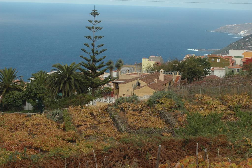 Casa Canarina Country house Santa Ursula (Tenerife)