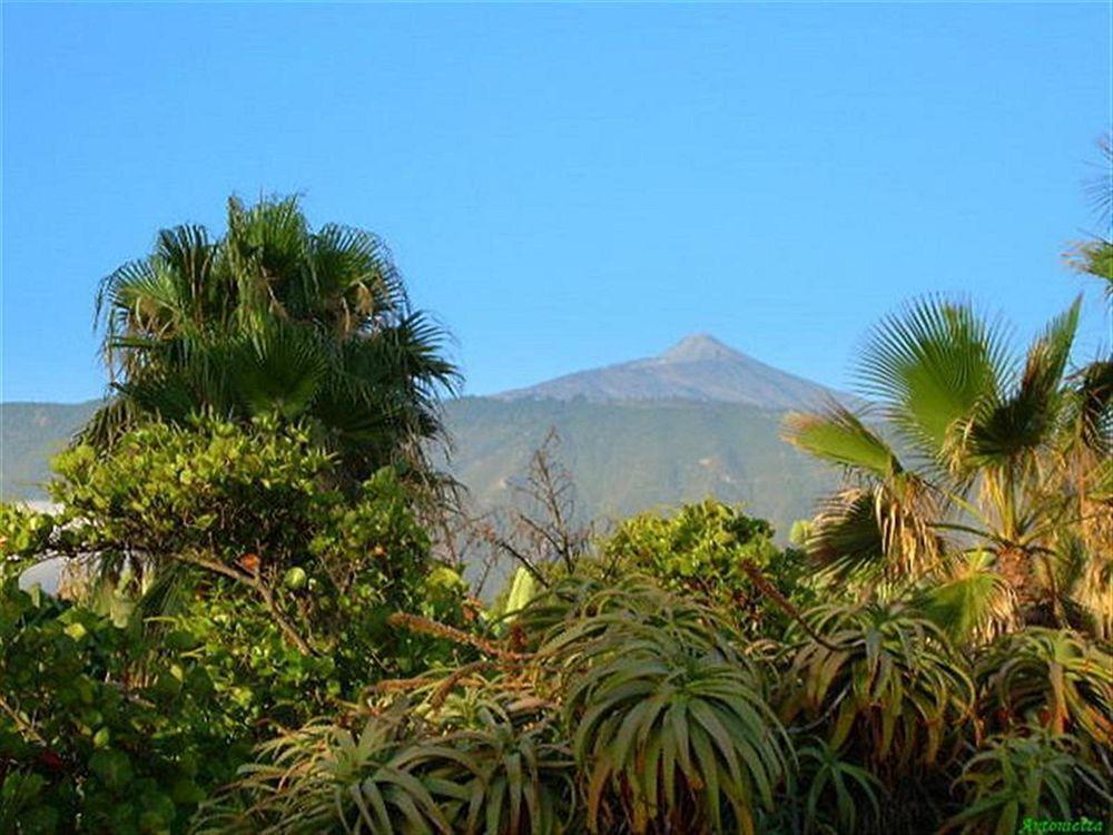 Hotel 4dreams Chimisay Puerto de la Cruz (Tenerife)