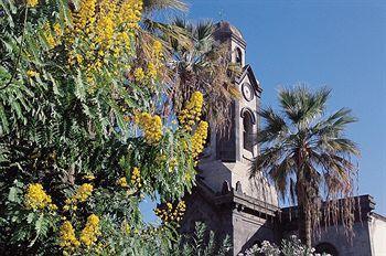 Rf Bambi Adults Only Apartamento Puerto de la Cruz (Tenerife)