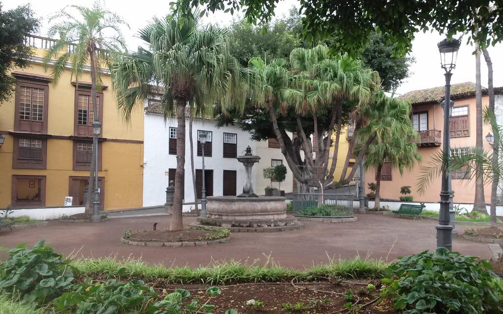 Hotel Drago San Antonio 3* Icod De Los Vinos