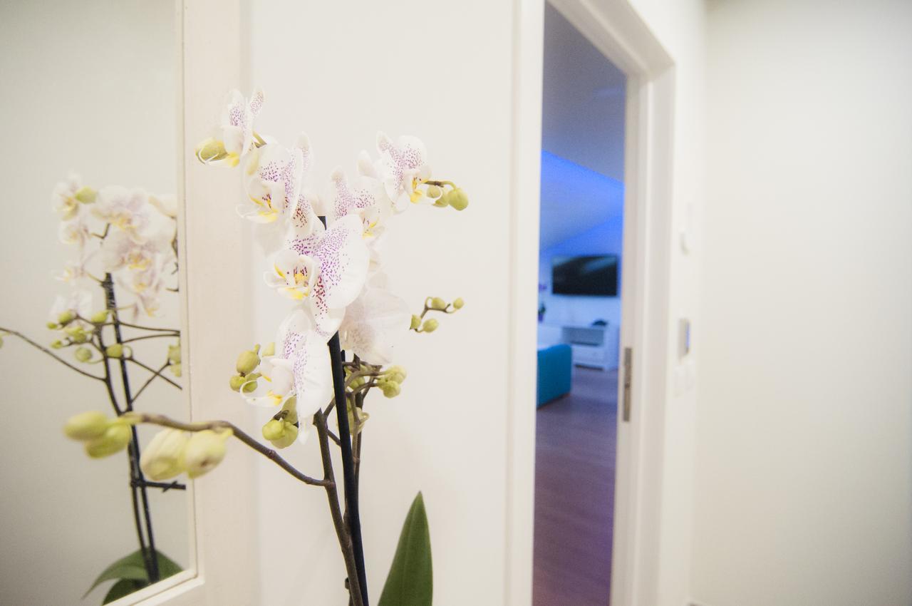 Appartement Rodeos Luxury