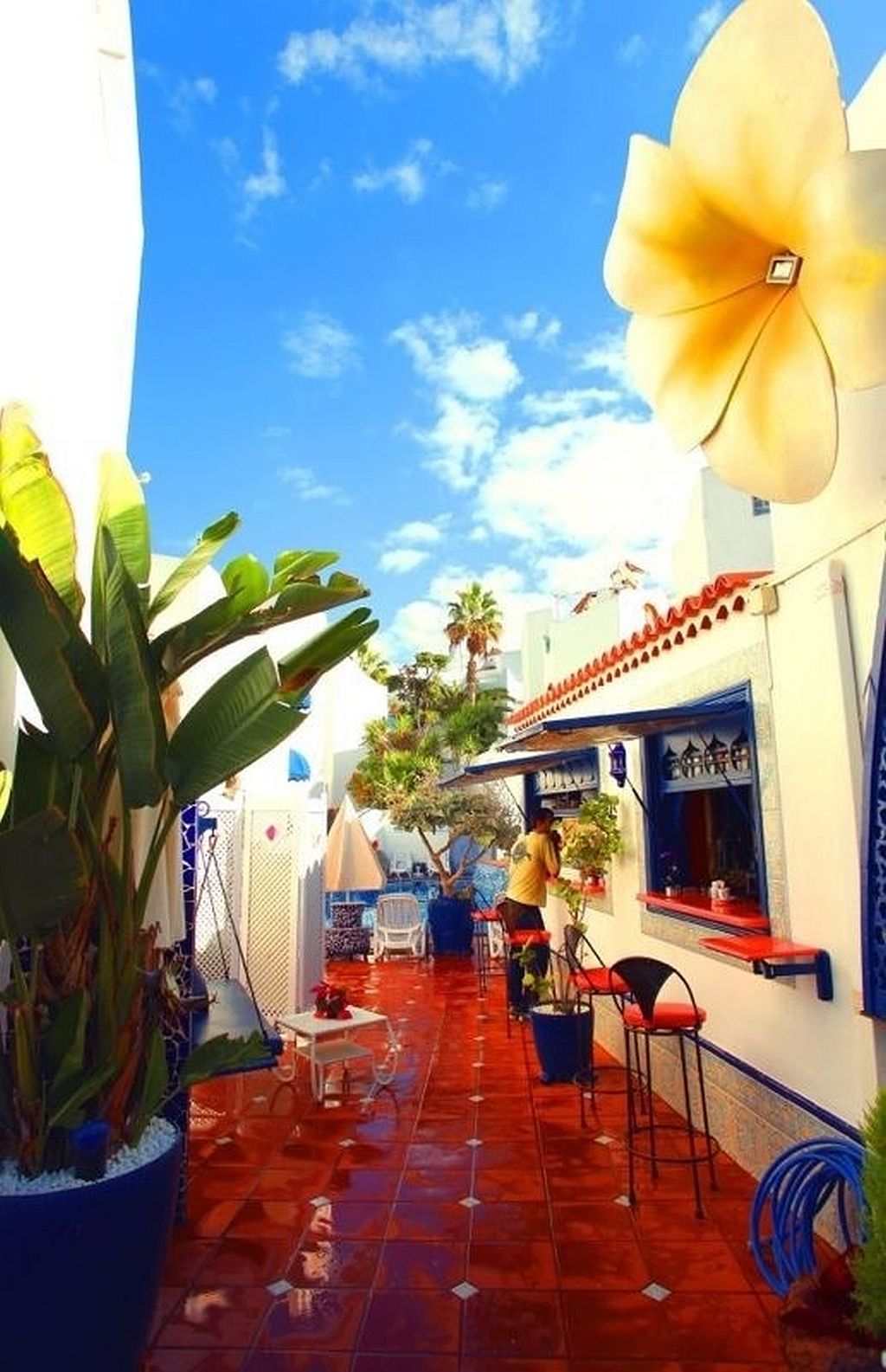 Playaflor Chill Out A 50 Mtrs De La Playa (adults Only) Apartment Playa de las Americas (Tenerife)