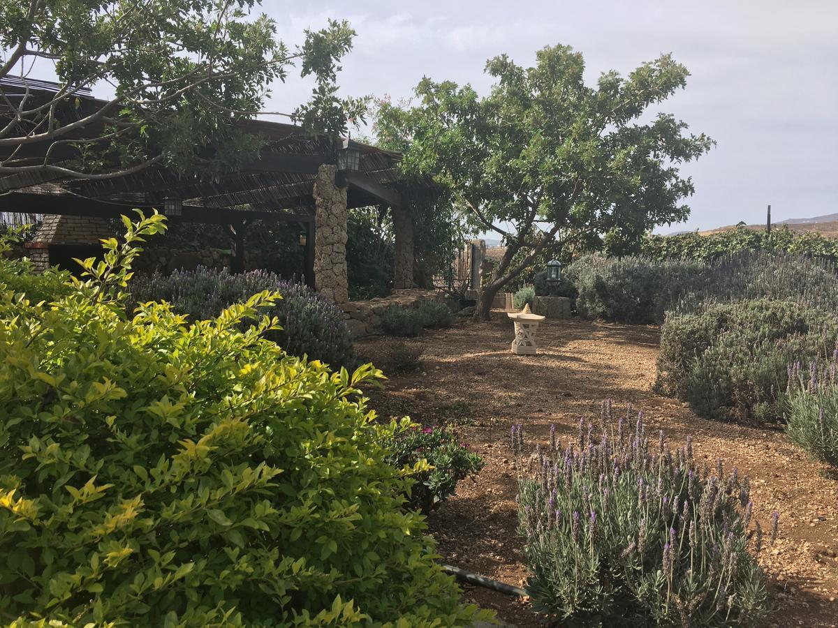 Holiday home Finca San Agustin El Rio (Tenerife)