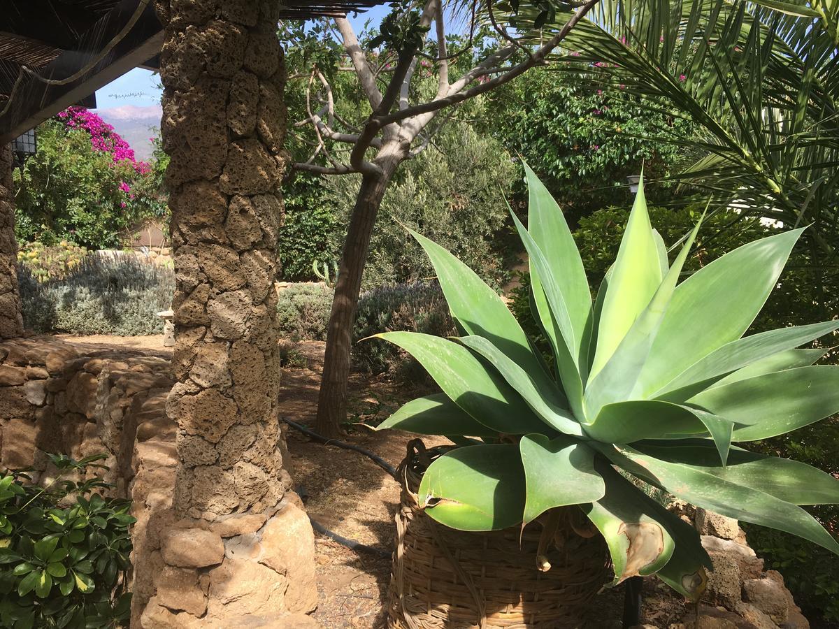 Finca San Agustin El Rio (Tenerife)