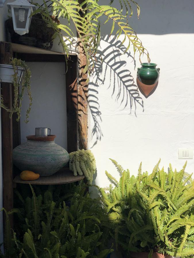 Casa Rural Macrina *