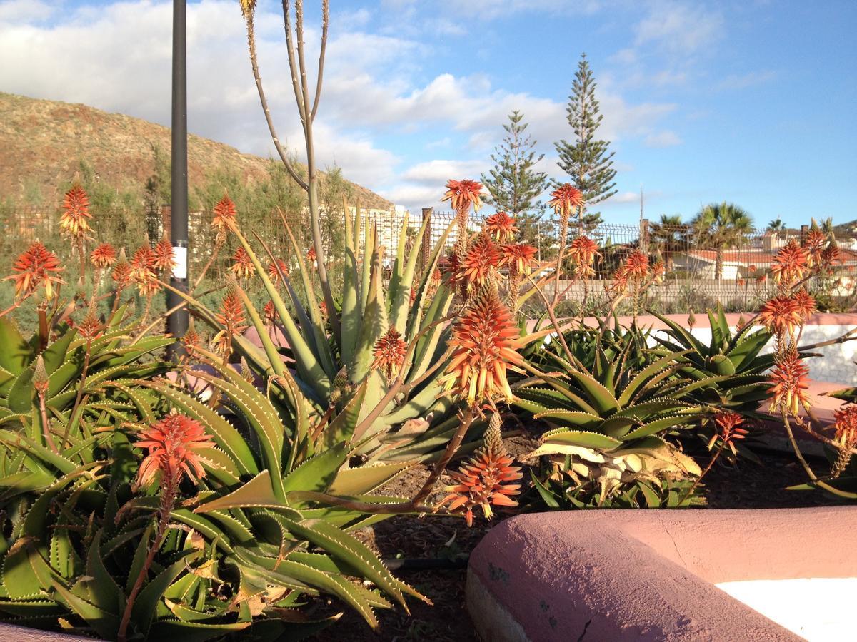 Orlando Apartment Costa Adeje (Tenerife)
