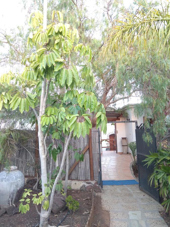 Guest house El Cerro De La Luna 2*