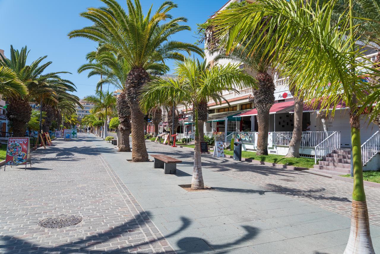 Modern Cristianos Center Los Cristianos (Tenerife)