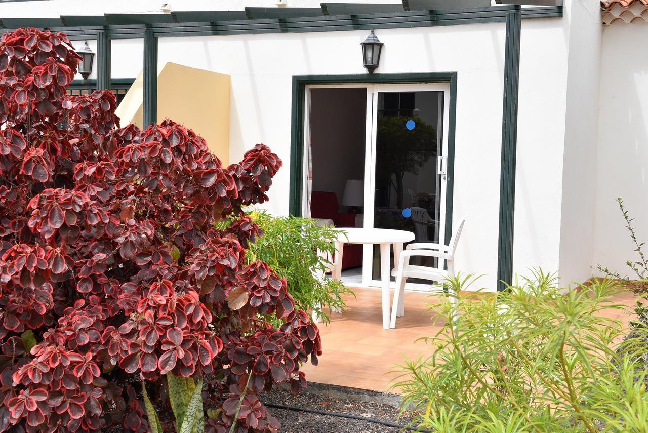 Adelfas 2 Apartment San Miguel de Abona