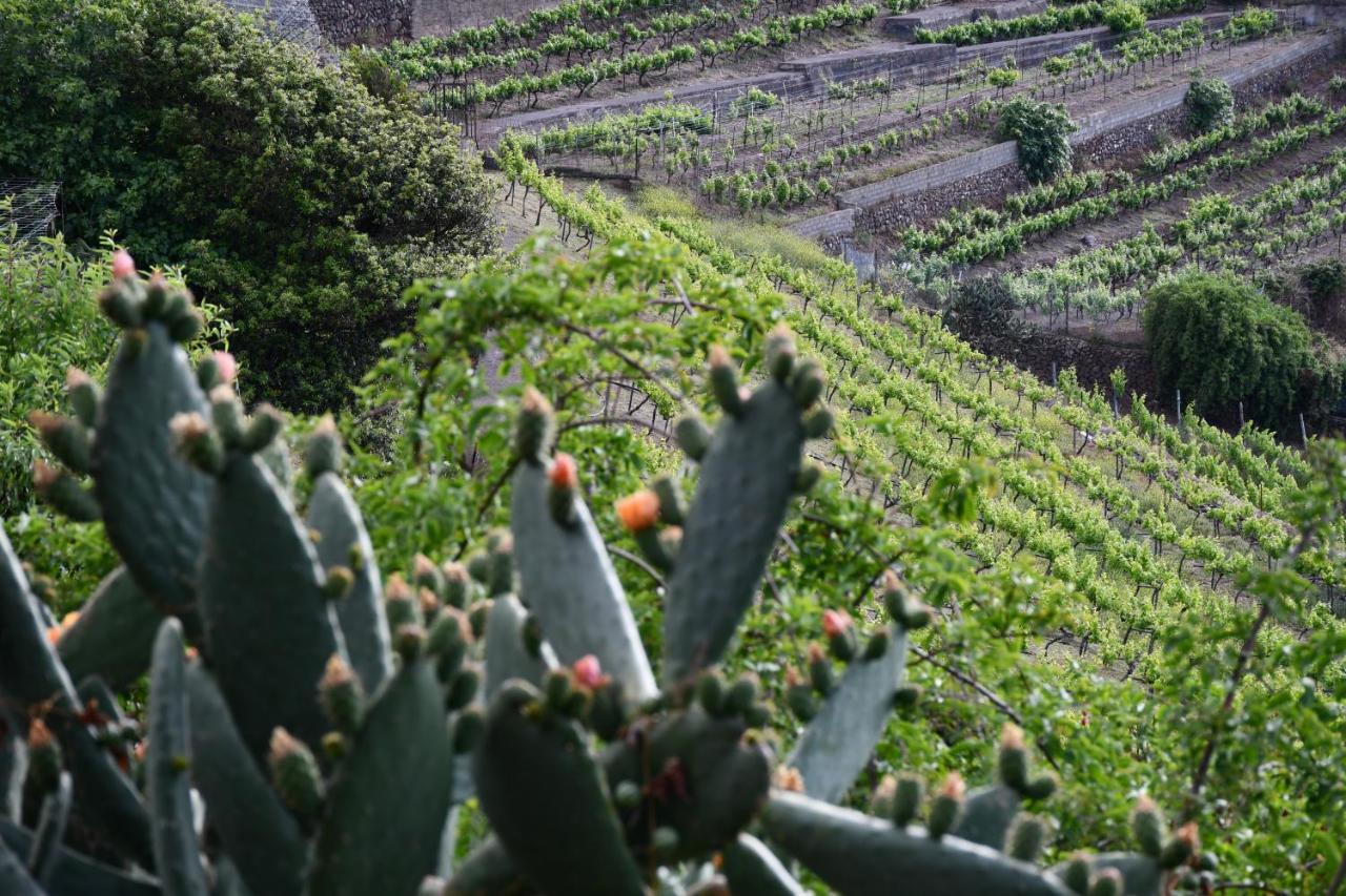 Haciendas Del Valle - Casa San Miguel Séjour à la campagne Valle de Guerra
