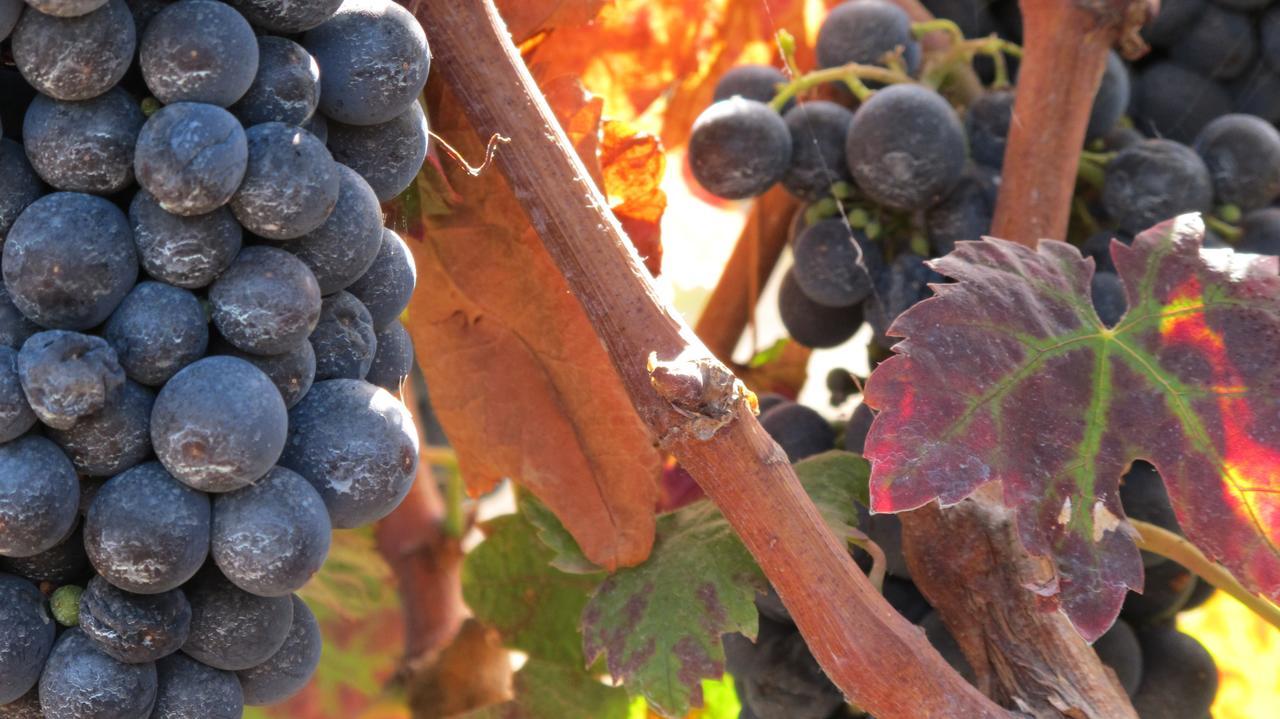 Séjour à la campagne Haciendas Del Valle - Casa San Miguel
