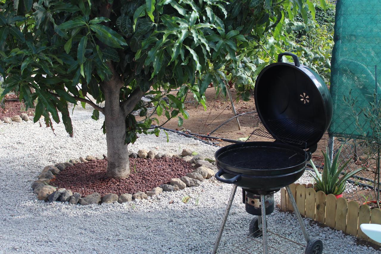 Hébergement de vacances Viñas Icod De Los Vinos