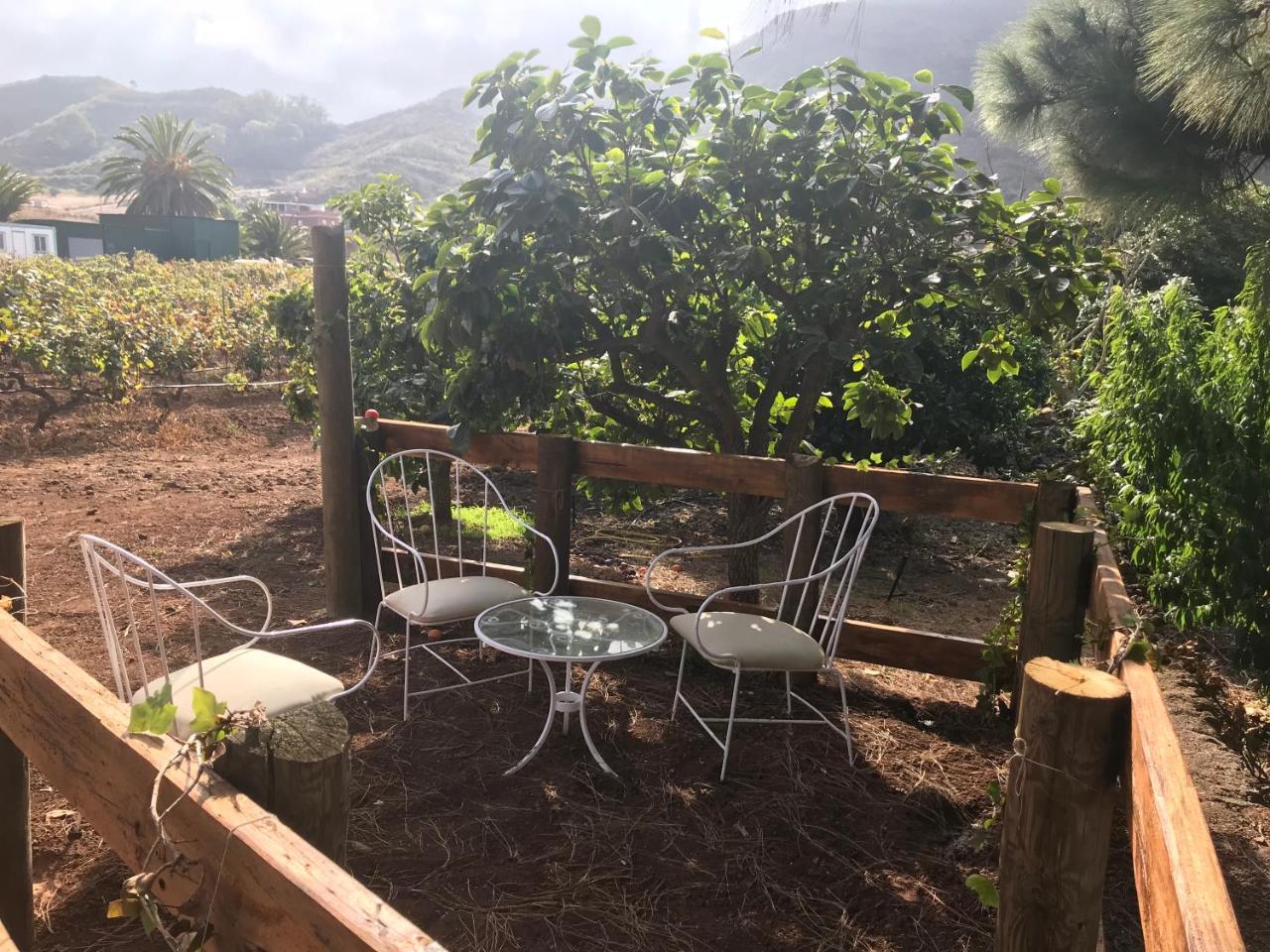 El Vergel Rural Tegueste