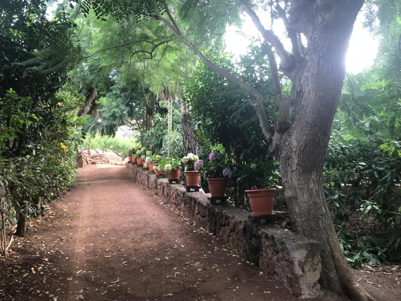 Country house El Vergel Rural Tegueste