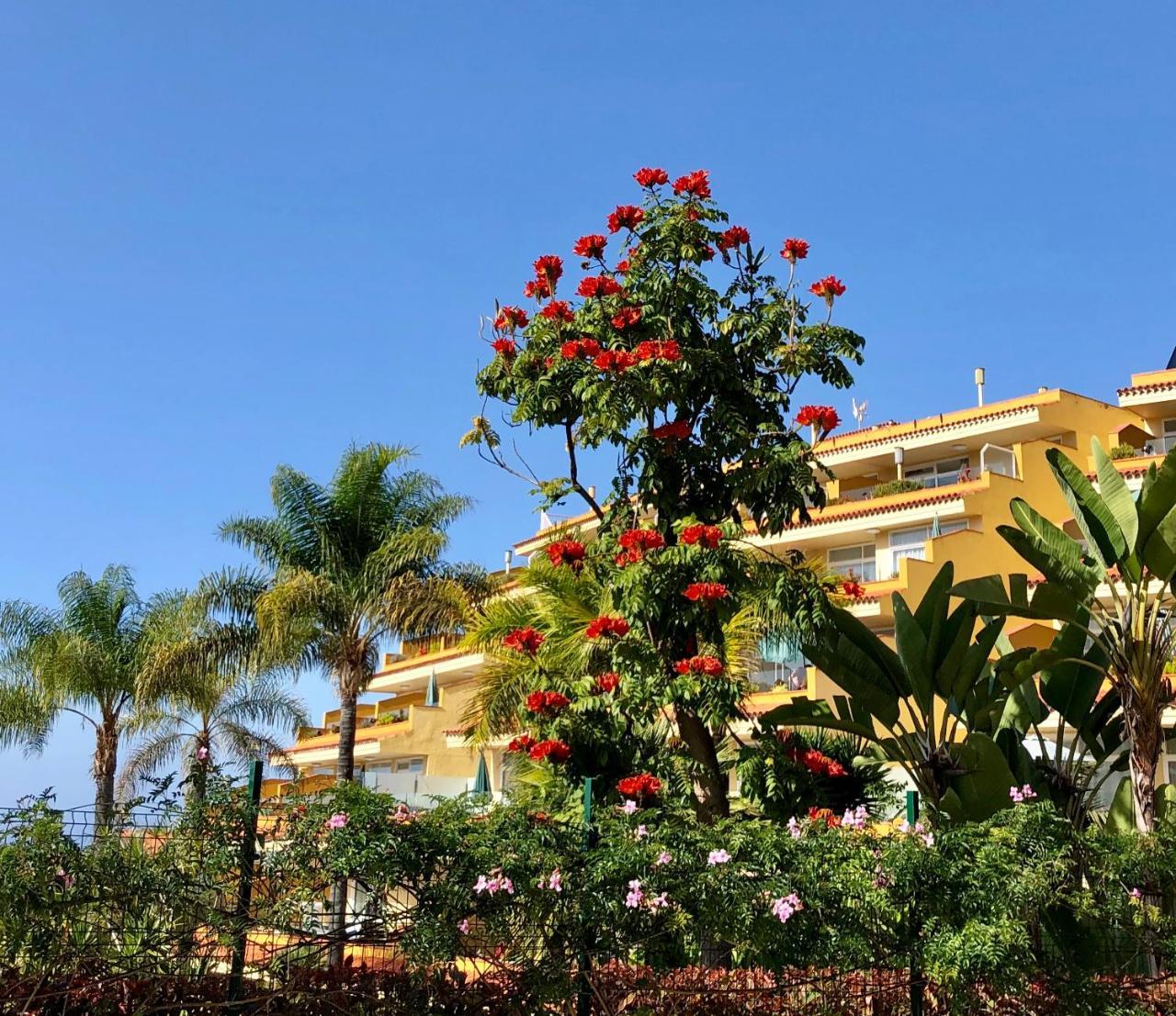 Appartement Tigaiga Puerto de la Cruz (Tenerife)