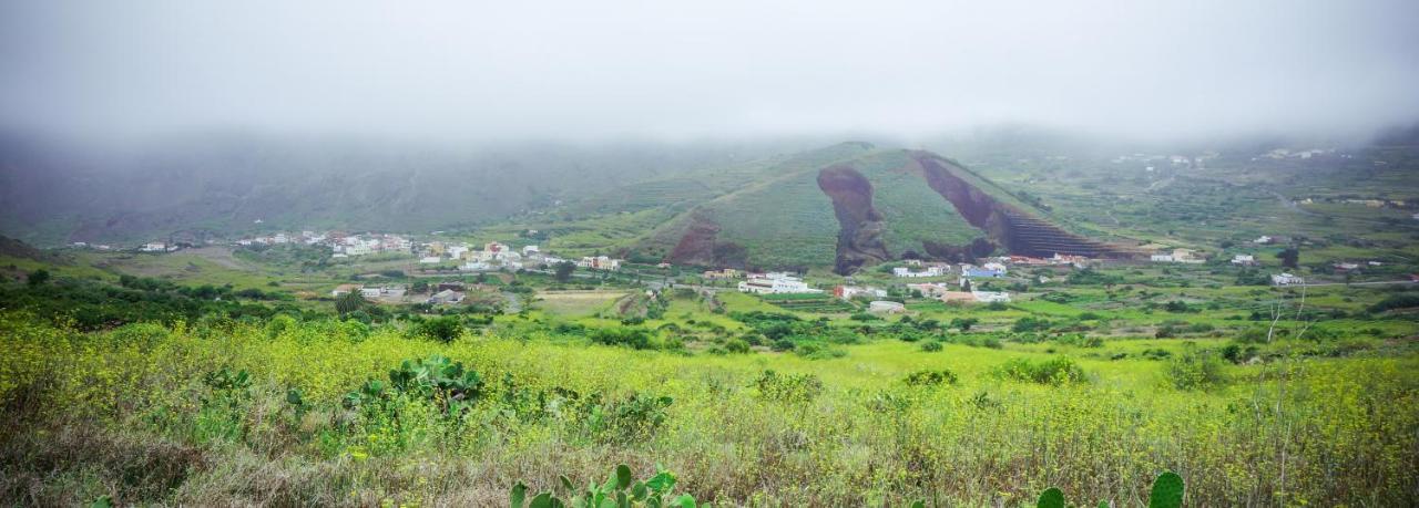 Ciruelo - Paz Y Senderos En Area Natural Protegida De Teno * Buenavista Del Norte