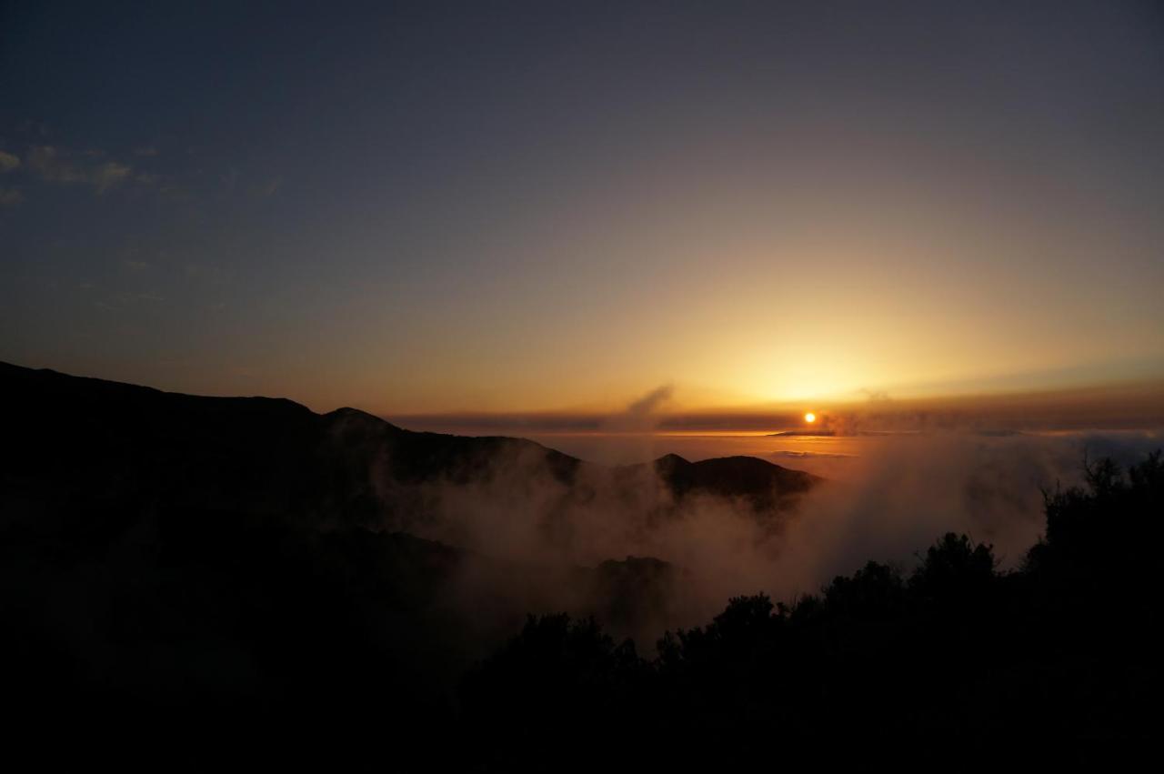 Hébergement de vacances Ciruelo - Paz Y Senderos En Area Natural Protegida De Teno *