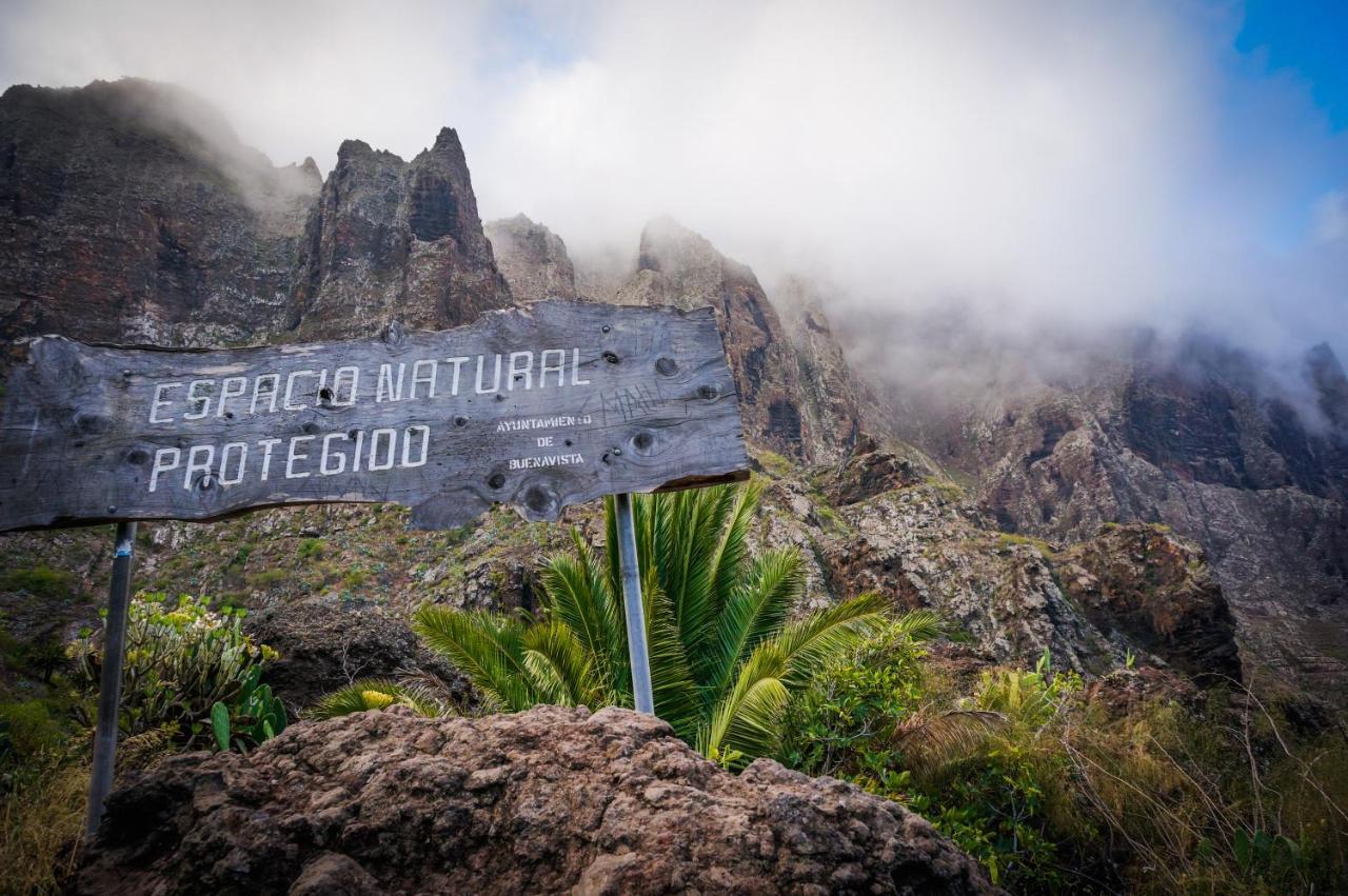 Ciruelo - Paz Y Senderos En Area Natural Protegida De Teno * Buenavista Del Norte