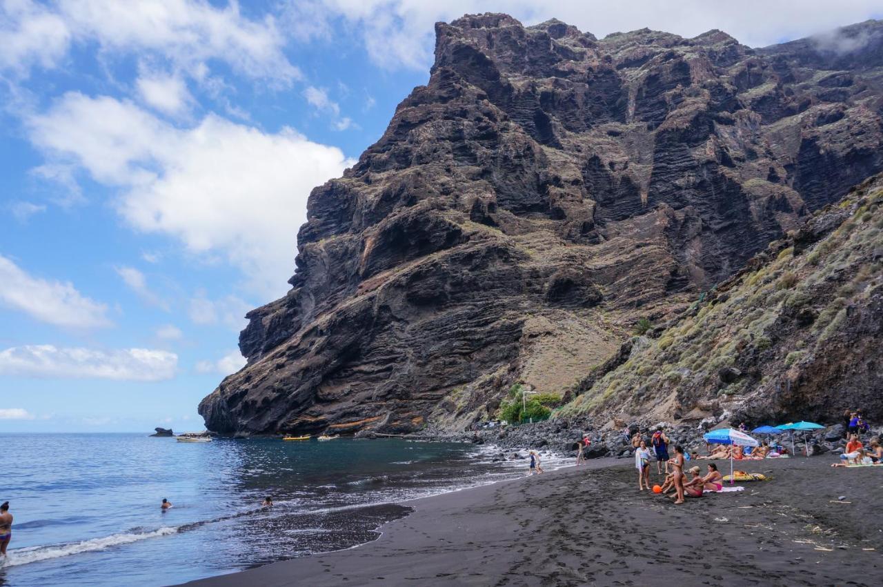 Ciruelo - Paz Y Senderos En Area Natural Protegida De Teno * Buenavista Del Norte