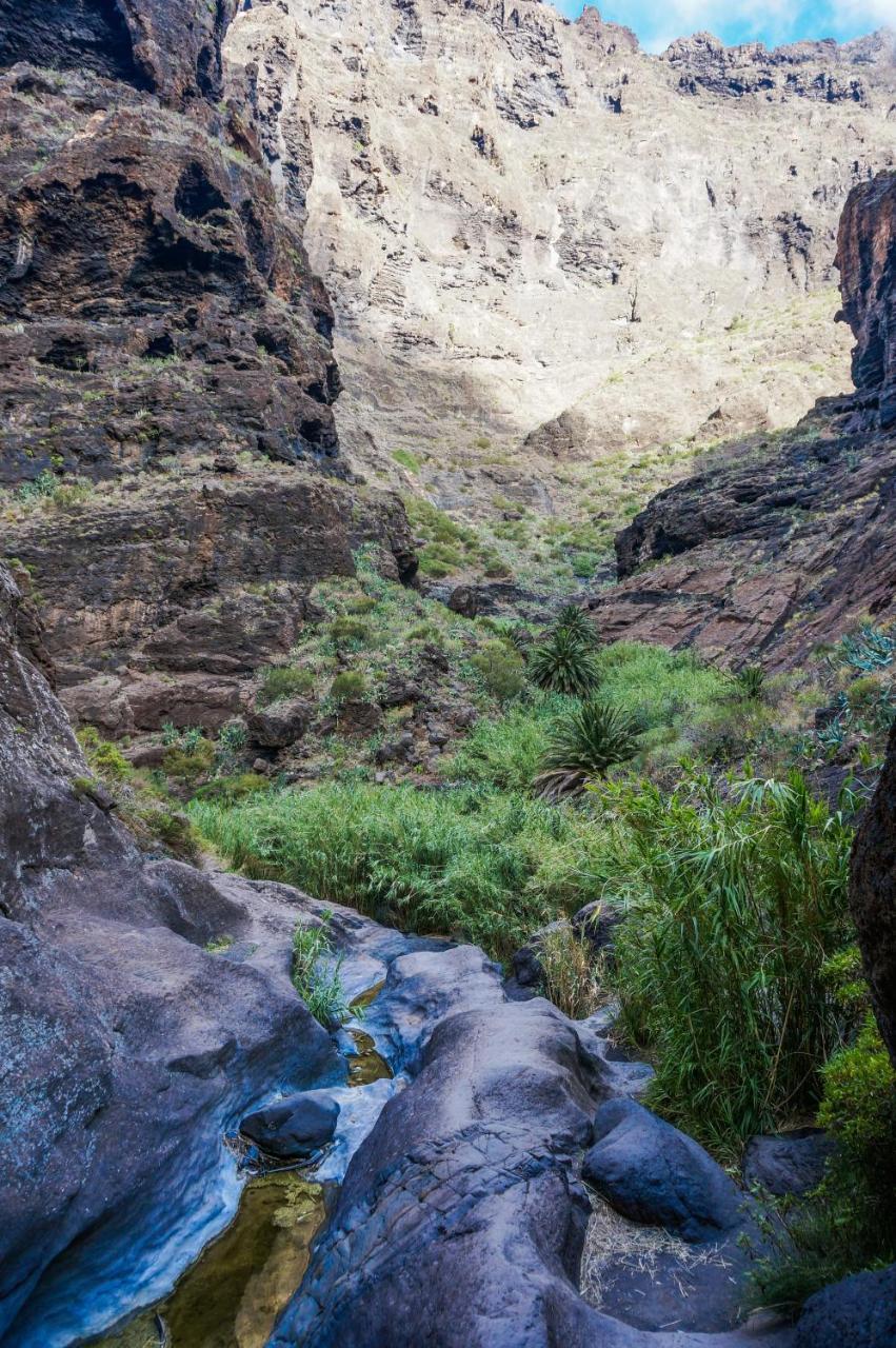 Hébergement de vacances Ciruelo - Paz Y Senderos En Area Natural Protegida De Teno Buenavista Del Norte