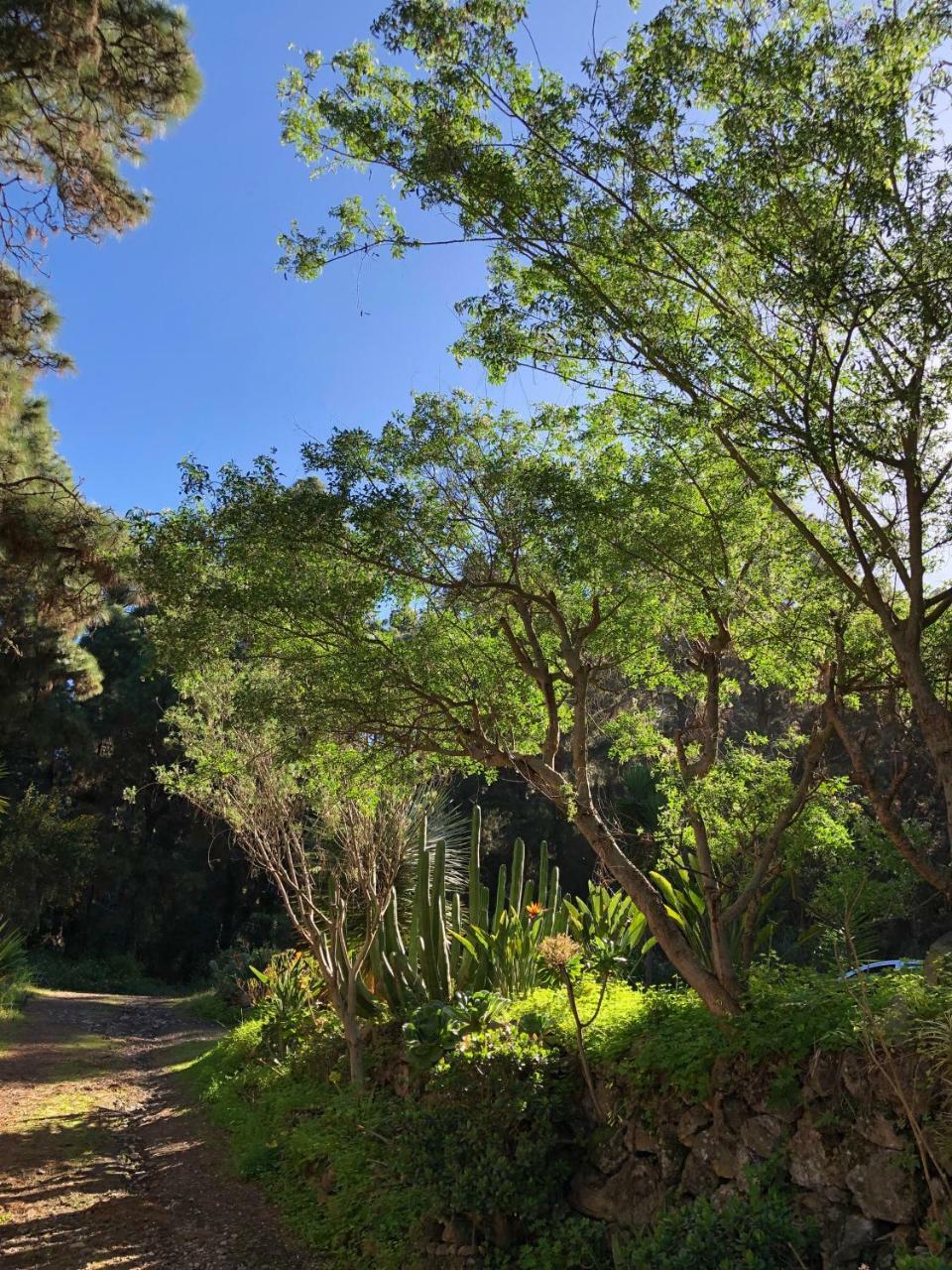 Monte Frio De Tenerife Country house *