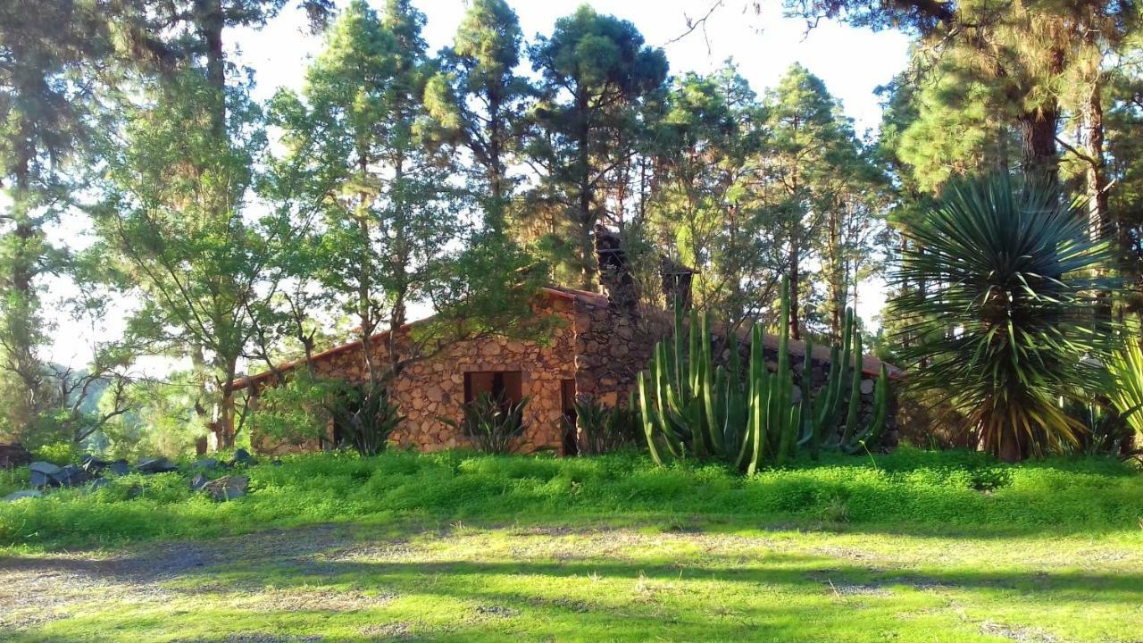 Monte Frio De Tenerife Country house *