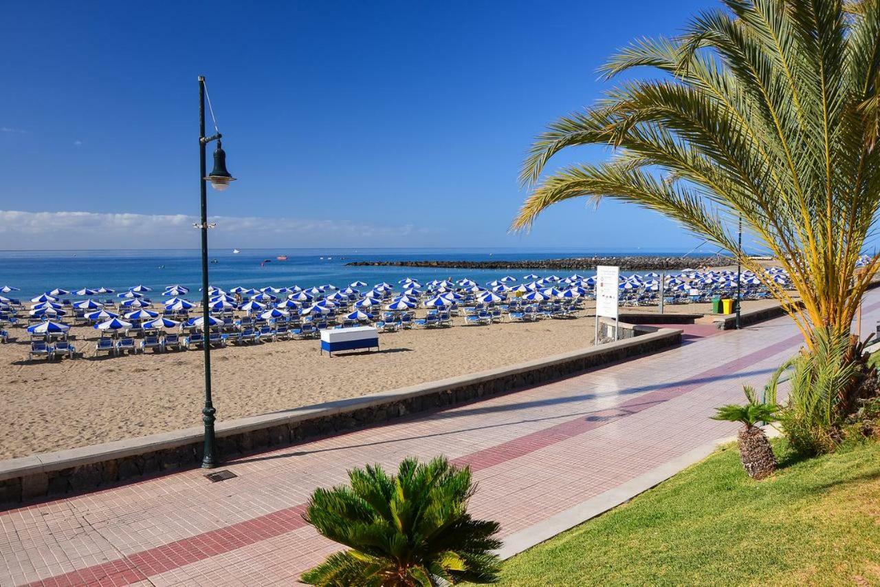 El Cardon Vistas - Tenesol * Playa de las Americas (Tenerife)