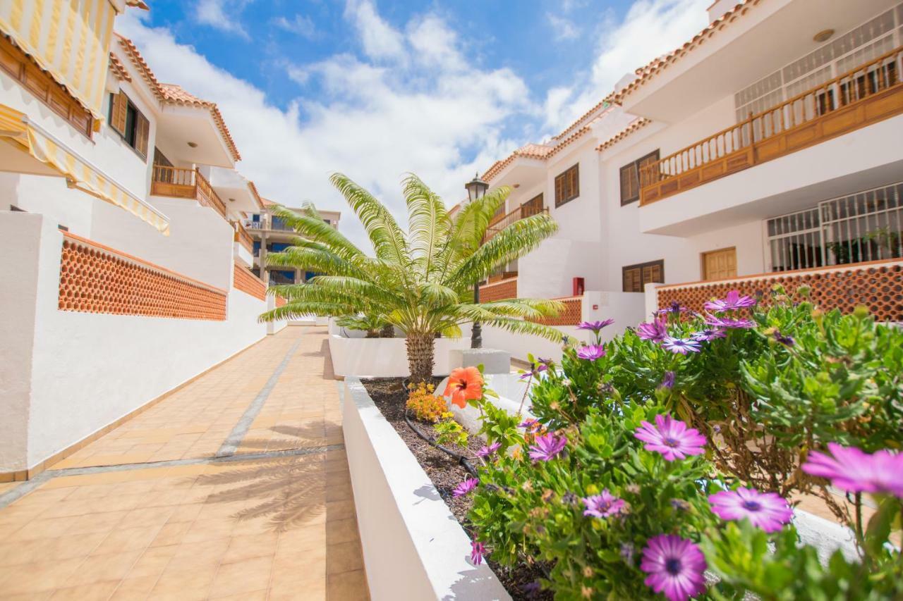 Apartment El Cardon Vistas - Tenesol Playa de las Americas (Tenerife)