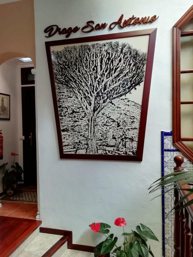 Hotel Drago San Antonio 3*